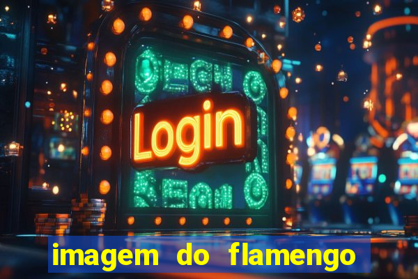 imagem do flamengo para perfil